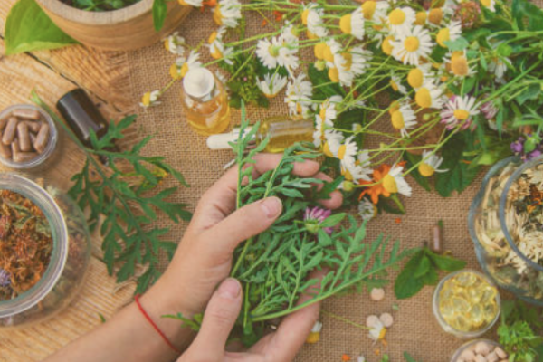 ziołolecznictwo TCM